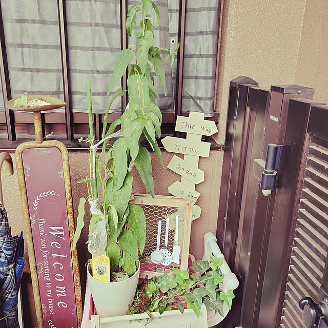 ANTENNAさんの実例写真