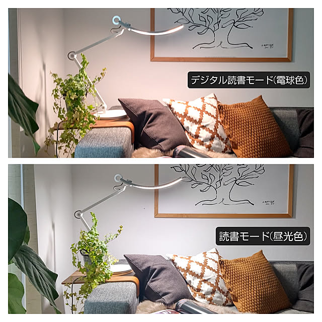 hanappaさんの実例写真