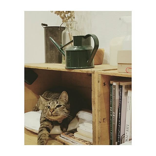 otatsu611さんの実例写真