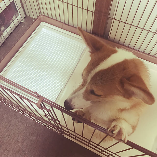 nanaさんの実例写真