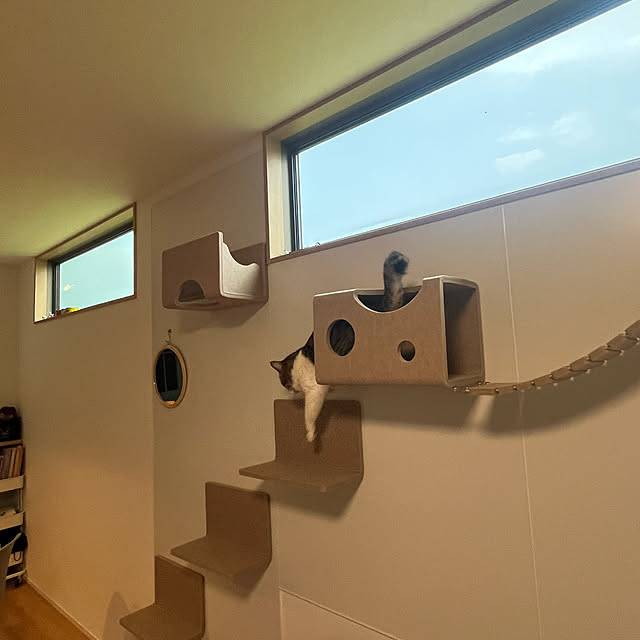 tiroさんの部屋
