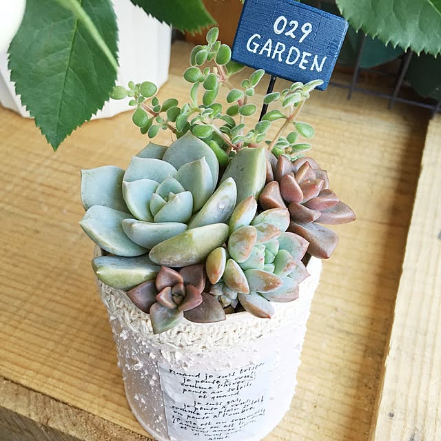 aym0418さんの実例写真