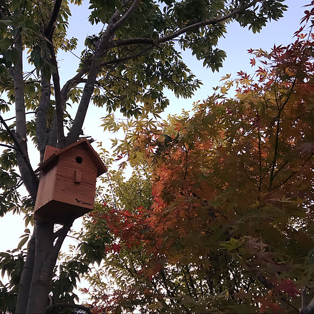 bird30さんの実例写真