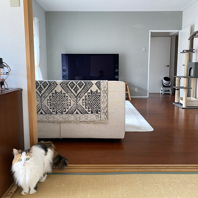 chulashihoさんの実例写真