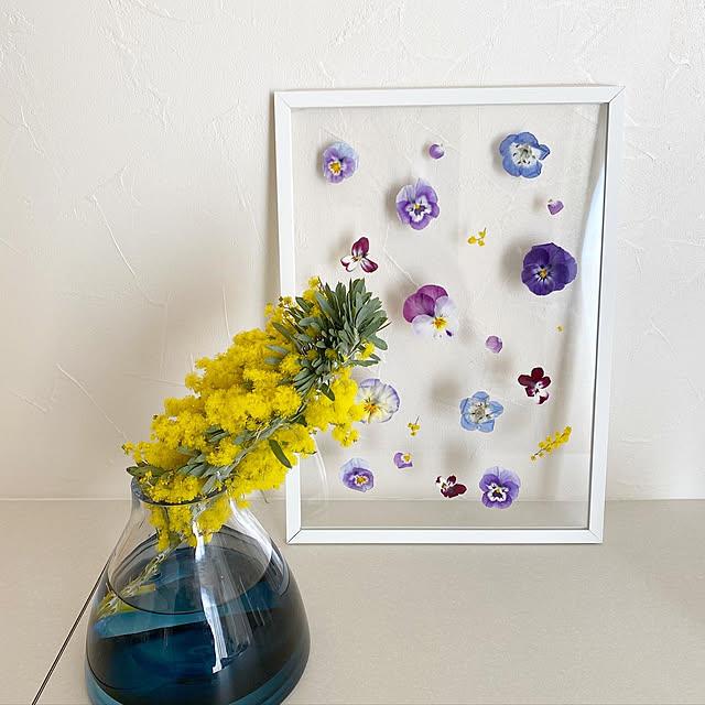 amuさんの実例写真