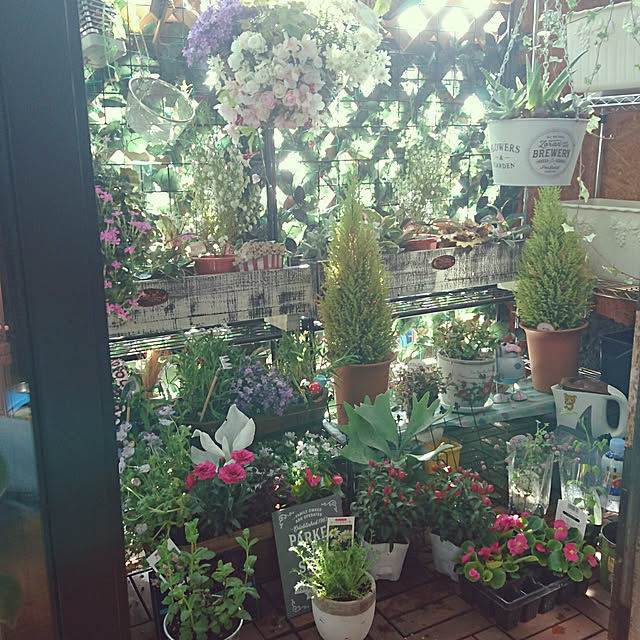 hiro4649さんの実例写真