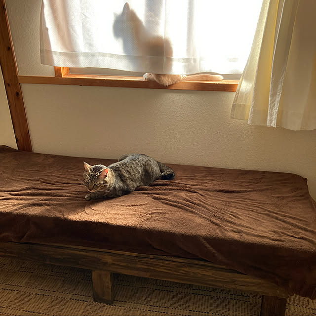 mikan161さんの実例写真