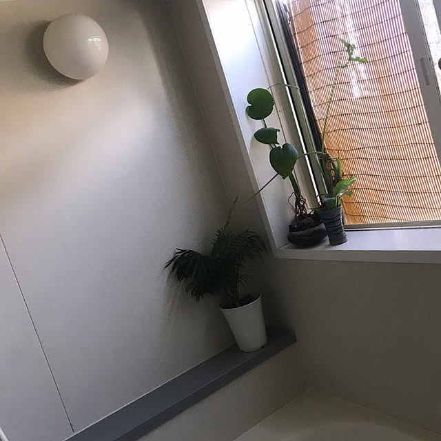 Akiさんの実例写真