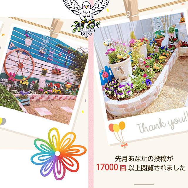 Miyumamaさんの実例写真