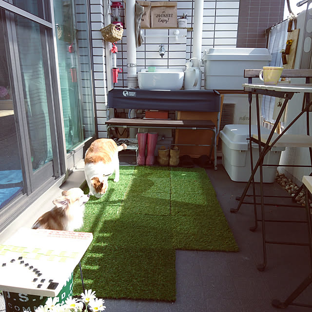 porinさんの実例写真