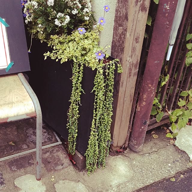 k-grainさんの実例写真