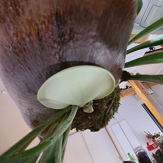 Rubiconさんの部屋