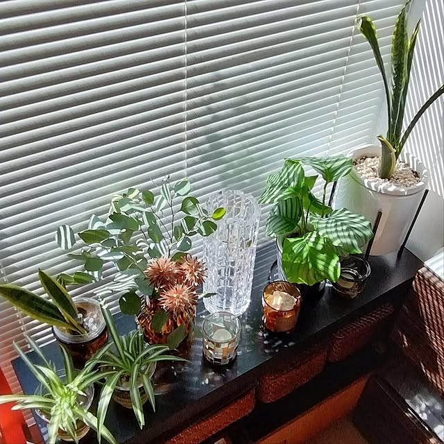 jinさんの部屋