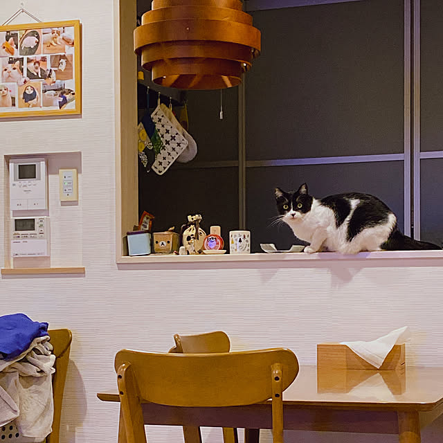 viraさんの実例写真