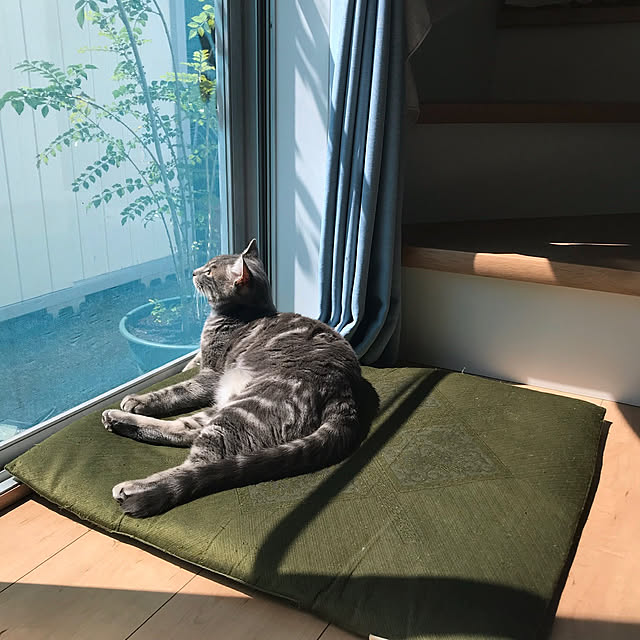 yuzukoさんの実例写真