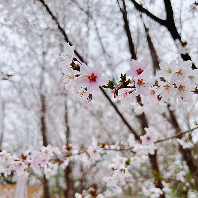 chanduさんの部屋