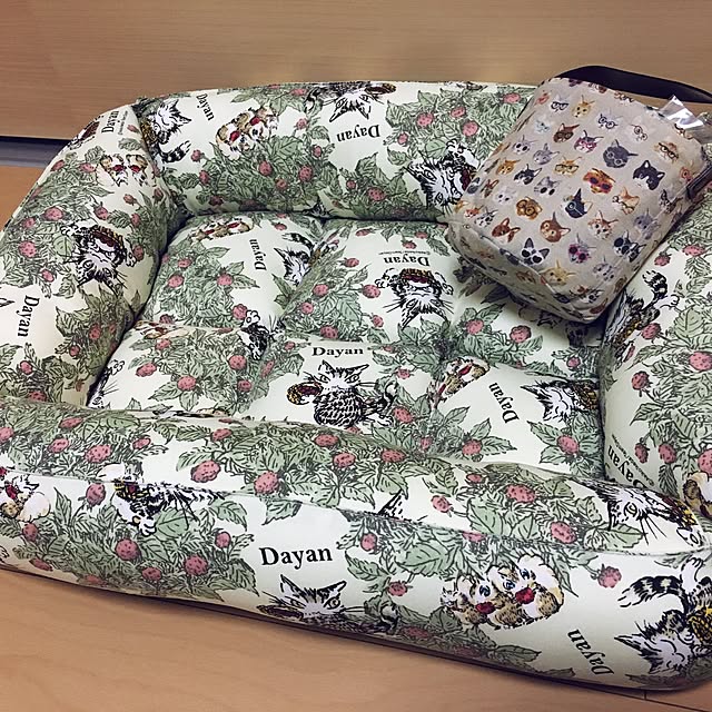 k_dinoさんの実例写真