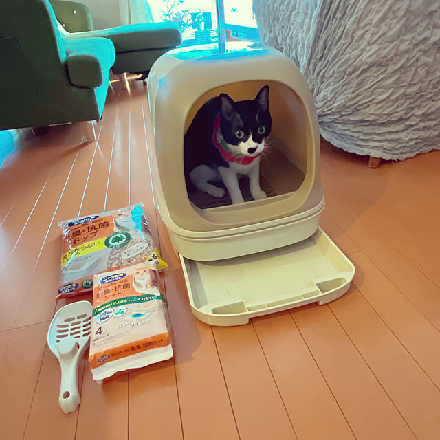 moolさんの部屋