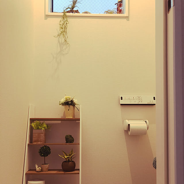 トイレ/鳥の置物/北欧/観葉植物/アンティーク...などのインテリア実例 - 2020-01-25 15:40:34
