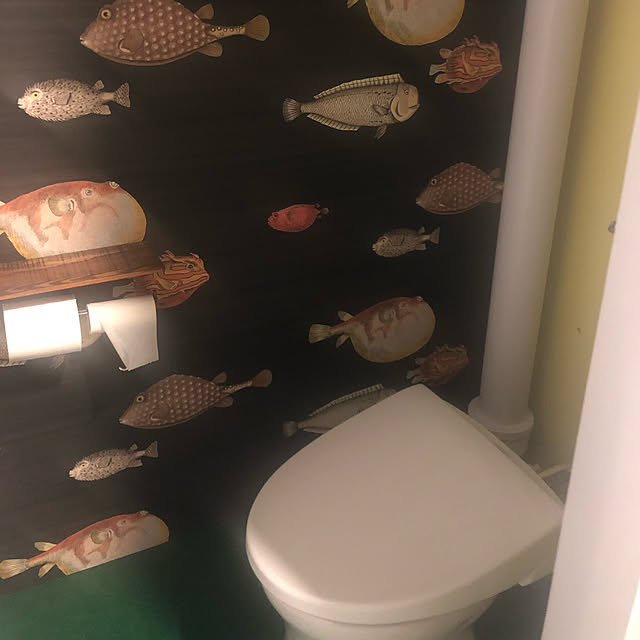 yoshiさんの実例写真