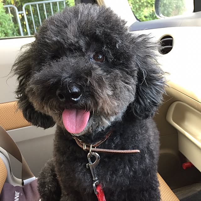 mimさんの実例写真