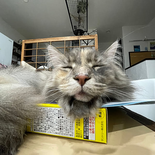 mayumiさんの部屋
