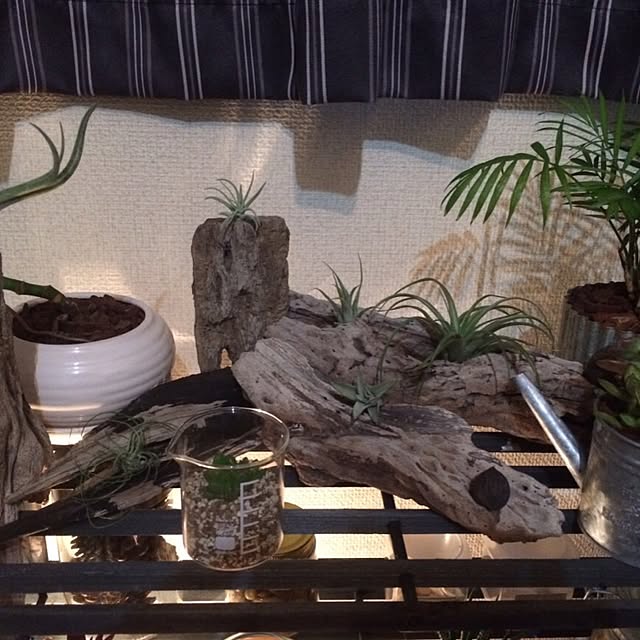 Rさんの実例写真