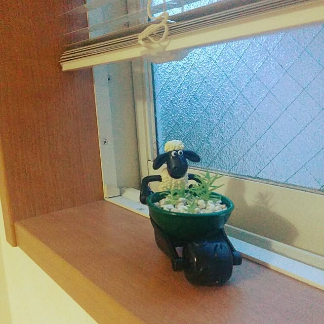 mizutamaさんの実例写真