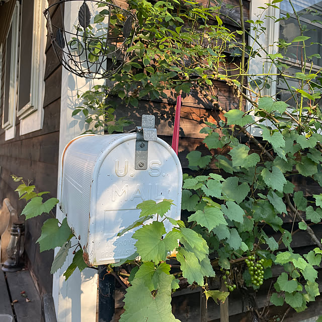 nattunさんの実例写真