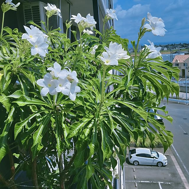 reko639さんの実例写真