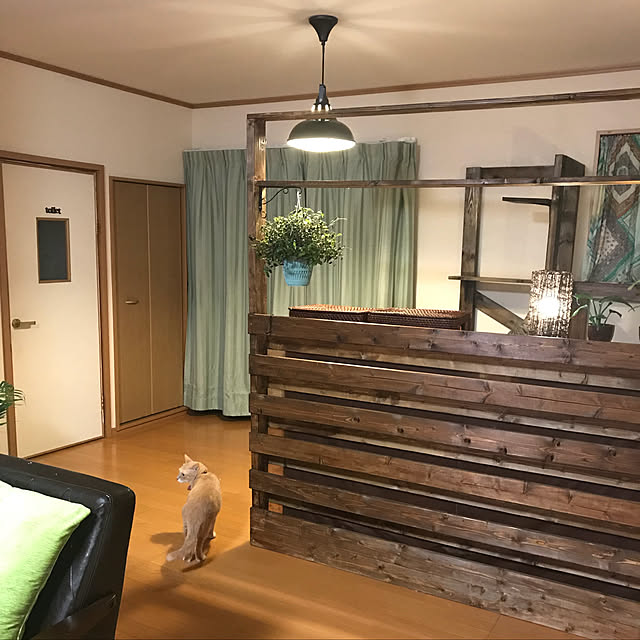 mikan161さんの実例写真