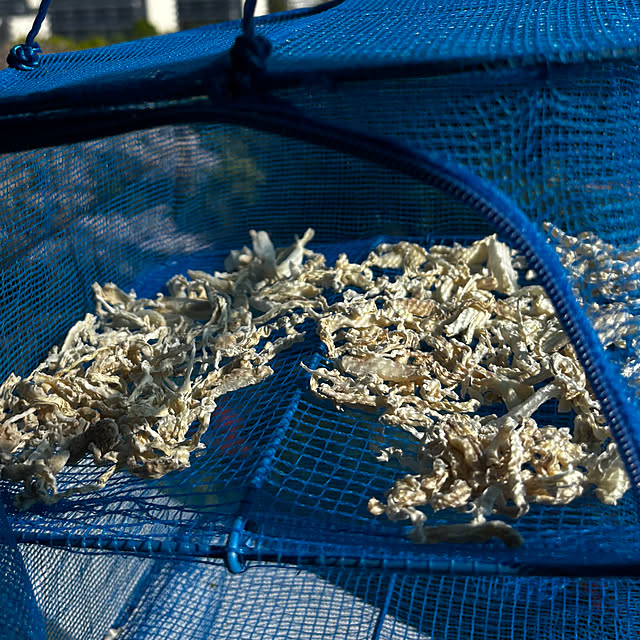 syutmmさんの部屋