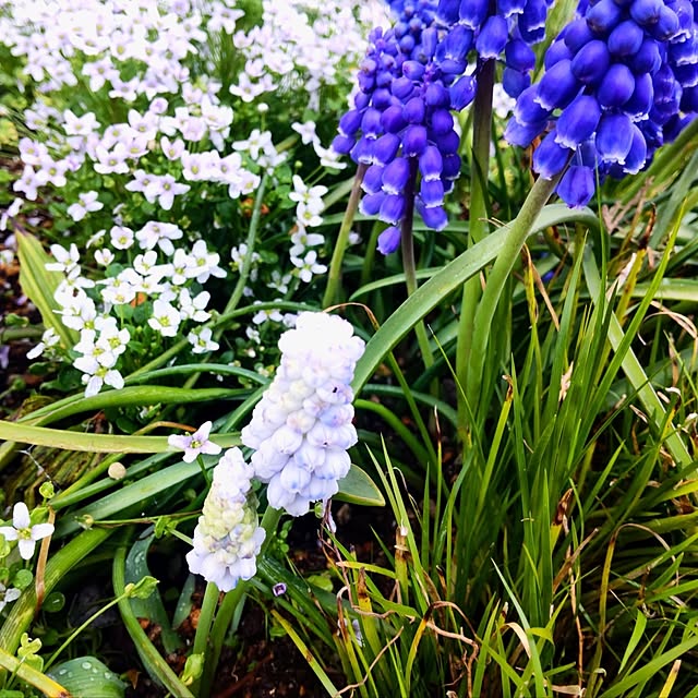 NSDさんの実例写真