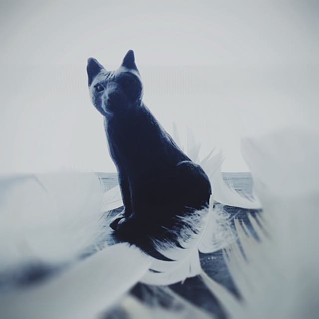 molmiyaさんの実例写真