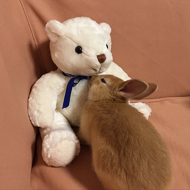 amiさんの実例写真