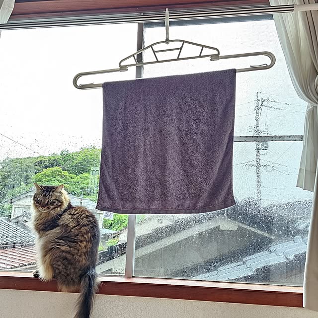 makoさんの部屋
