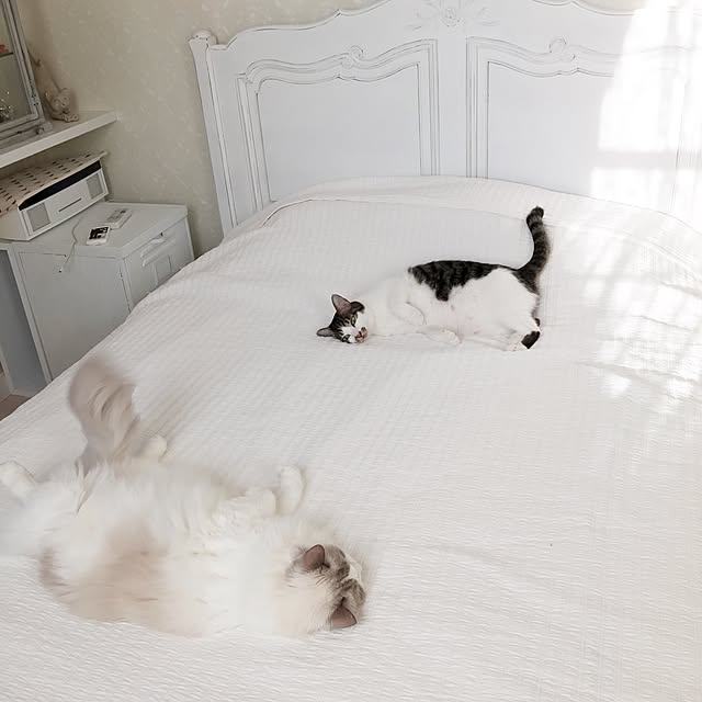 yuchiさんの実例写真