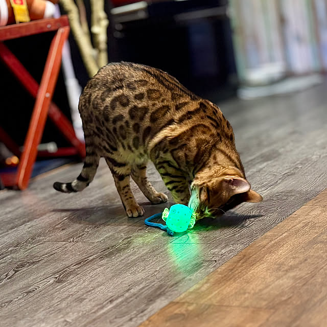 tututu0204さんの部屋