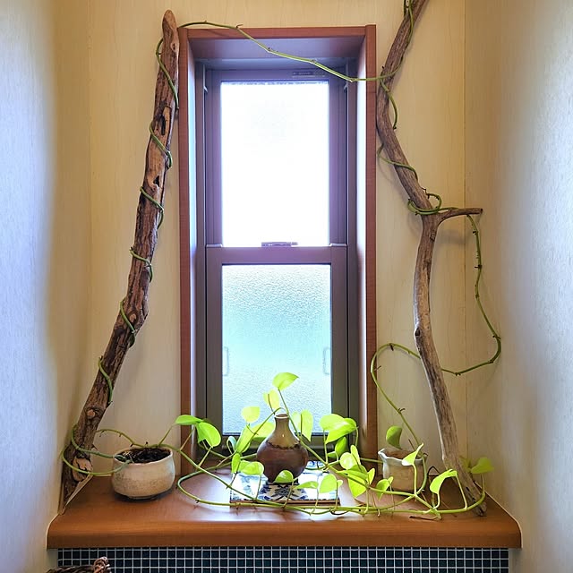 yasu10さんの部屋