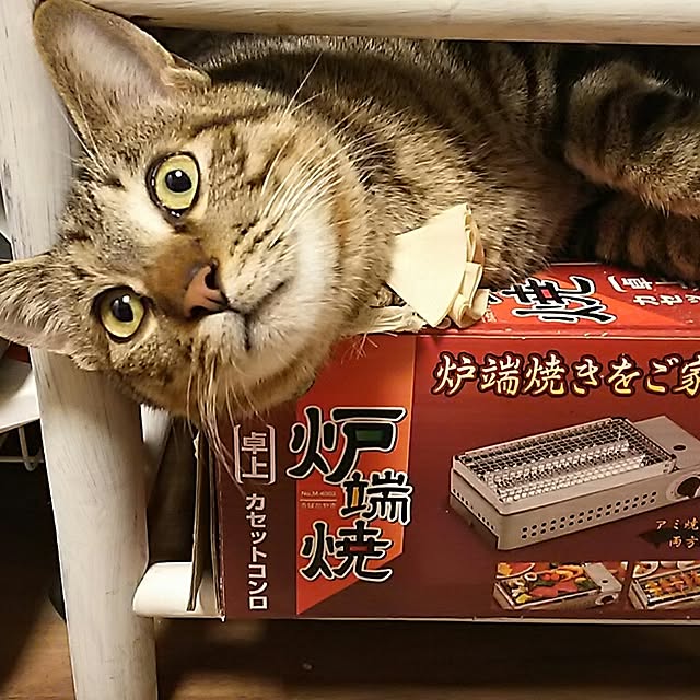 catriene0123さんの実例写真