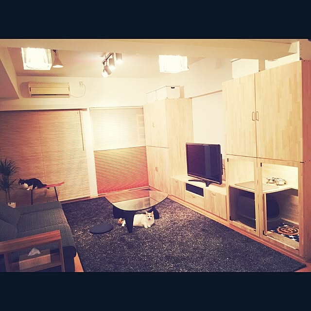 Daisukeさんの実例写真
