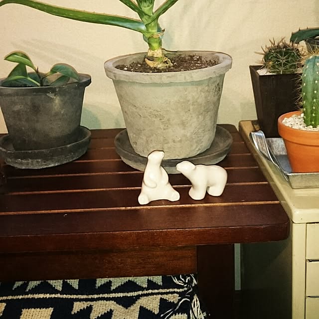 mizuさんの実例写真