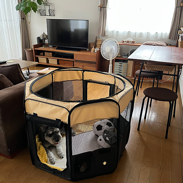 tamaharuさんの部屋