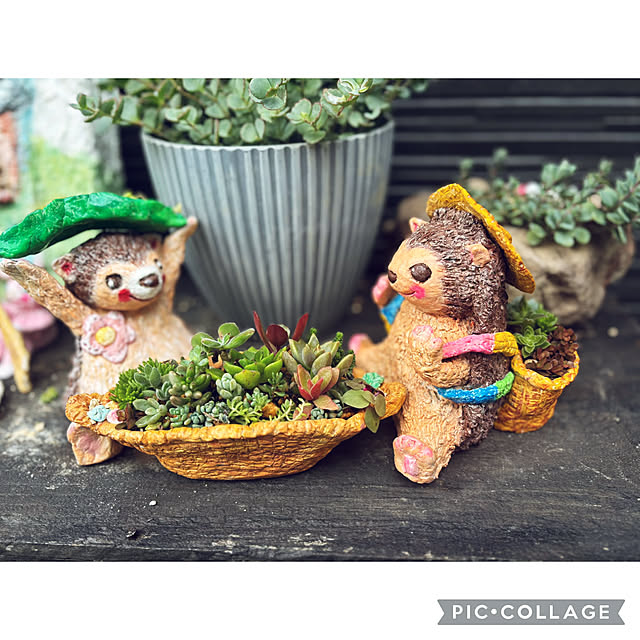 CoCo0617さんの実例写真