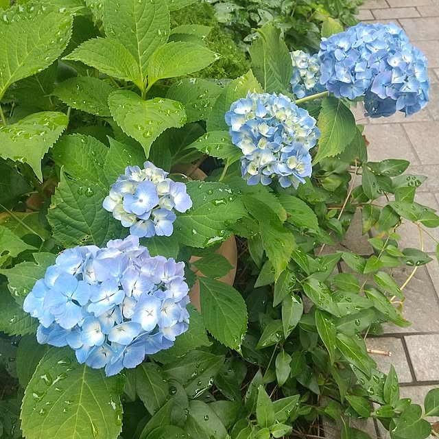 Rさんの実例写真