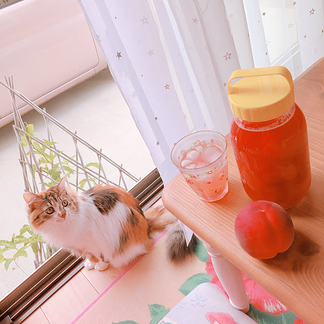 MASAさんの実例写真