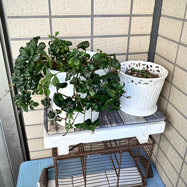 YuuKoさんの実例写真