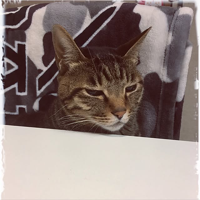 shigimiさんの実例写真