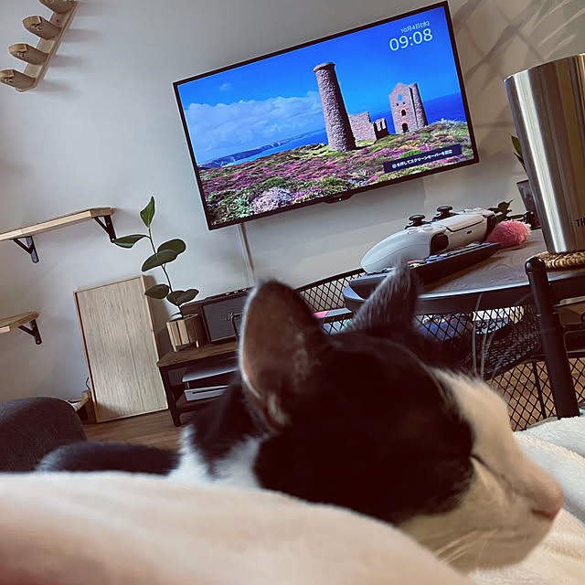 qp_ktbnさんの部屋