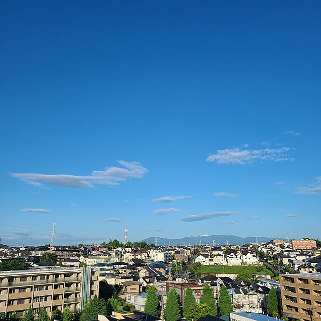 monさんの実例写真